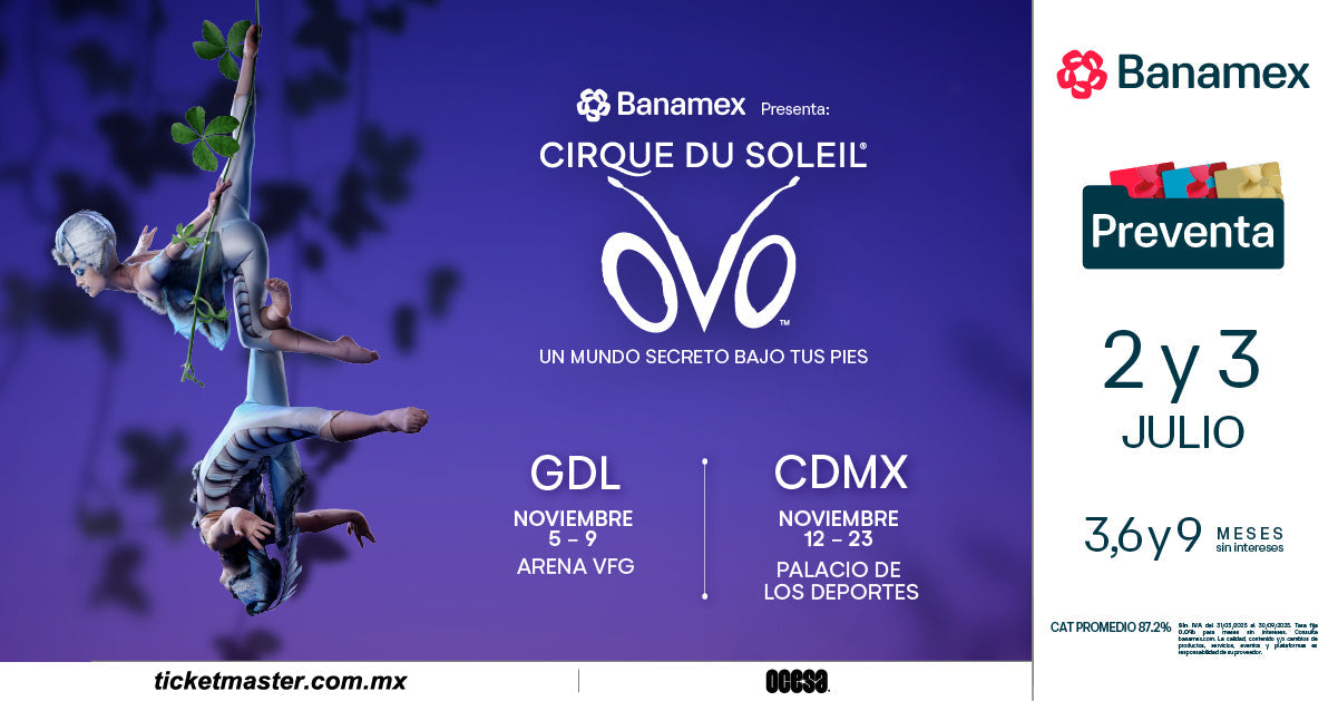 OVO de Cirque du Soleil: ¡Un espectáculo colorido y enérgico para todas las edades!
