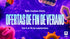 f_article.image.alt