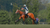 YA ESTÁ DISPONIBLE EN DISNEY+ LA SERIE DOCUMENTAL "ADOLFO CAMBIASO, EN EL NOMBRE DEL POLO"