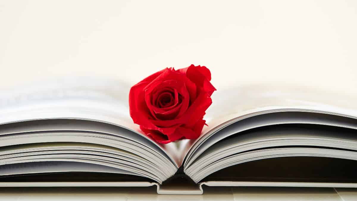 EN EL DÍA INTERNACIONAL DEL LIBRO LIFETIME PRESENTA ESPECIAL CON LAS FASCINANTES HISTORIAS DE ANN RULE, 23 DE ABRIL