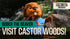 f_article.image.alt