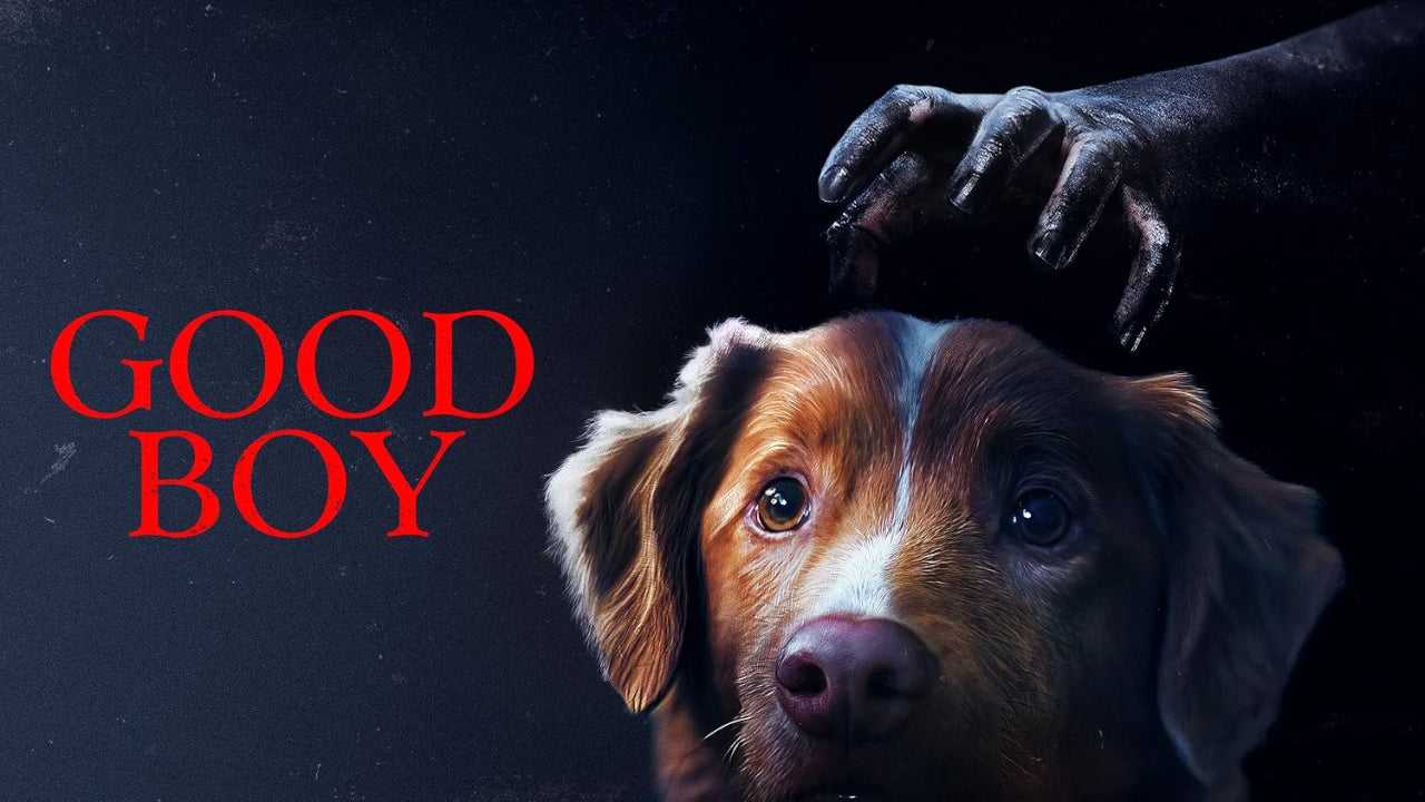 Reseña: Good Boy