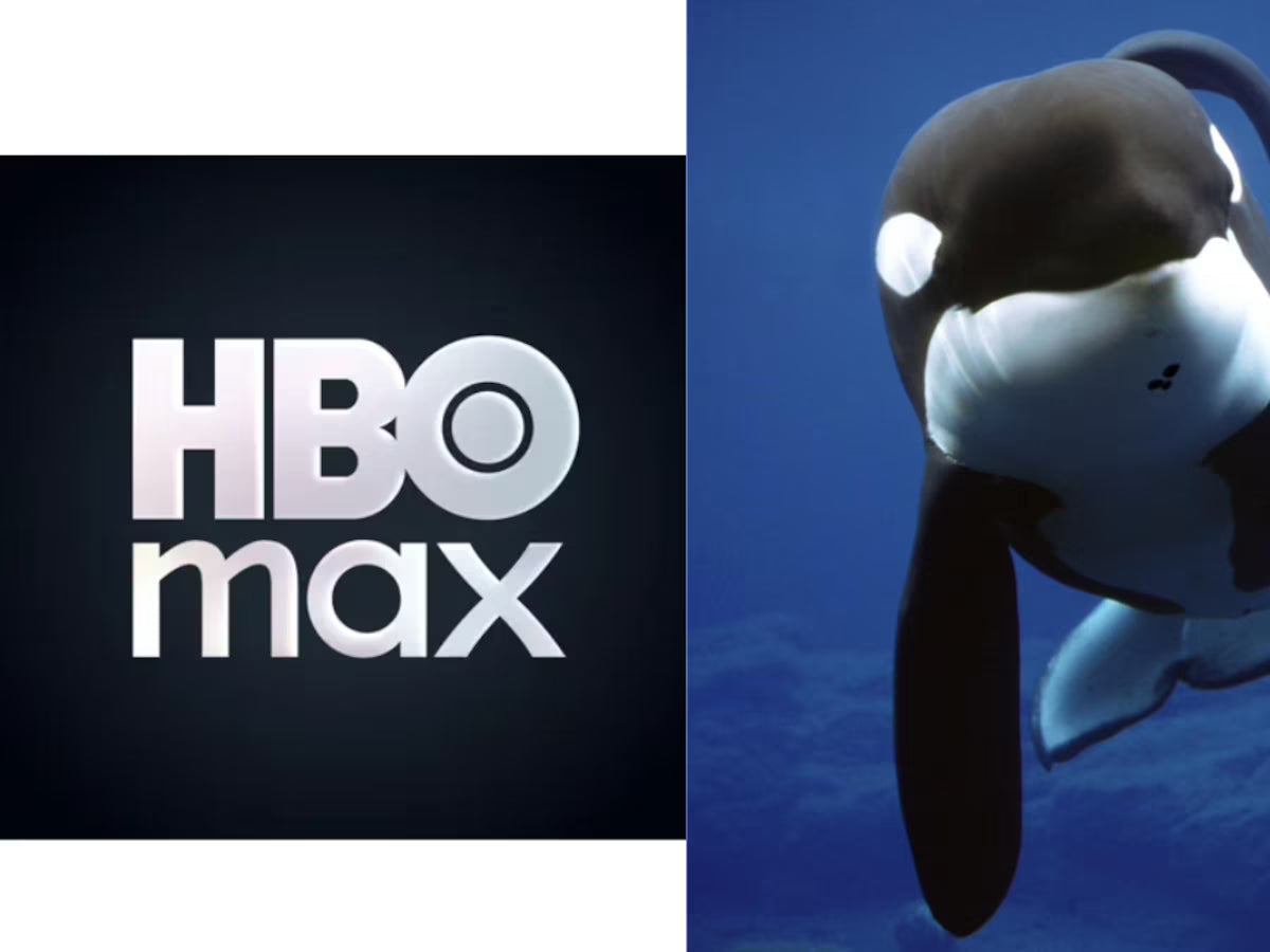 HBO Y RAW ESTÁN EN PRODUCCIÓN DE UNA SERIE DOCUMENTAL SOBRE LA LIBERACIÓN ÉPICA DE UNA FAMOSA BALLENA