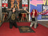 f_article.image.alt