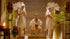 f_article.image.alt