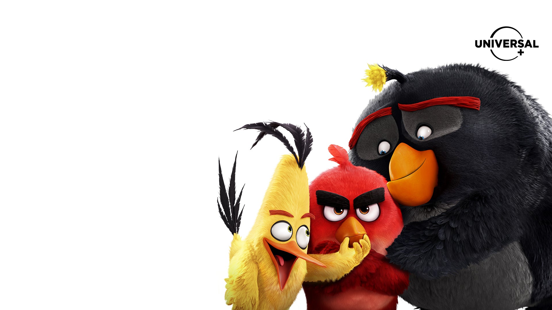Angry Birds, Madagascar y Cómo Entrenar a tu Dragón: Disfruta de las vacaciones decembrinas con tus películas favoritas en Universal+