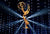 SATURDAY NIGHT LIVE Y THE TRAITORS TRIUNFAN EN LA ENTREGA 77 DE LOS PRIMETIME EMMY AWARDS
