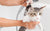 Día Internacional del Gato! Celébralo creando una rutina de cuidado e higiene para tu michi