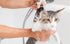 f_article.image.alt
