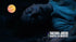 f_article.image.alt