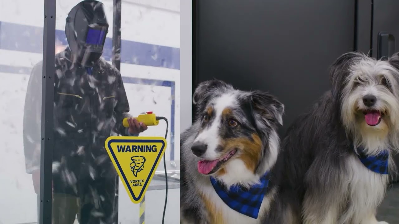 Descubre cómo Maytag transforma la rutina de lavado en hogares con mascotas