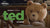 TED, LA SERIE: UN TEDDY BEAR LLENO DE IRREVERENCIA, HUMOR NEGRO Y UN AMIGO LEAL EN EXCLUSIVA POR UNIVERSAL+