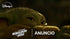 f_article.image.alt