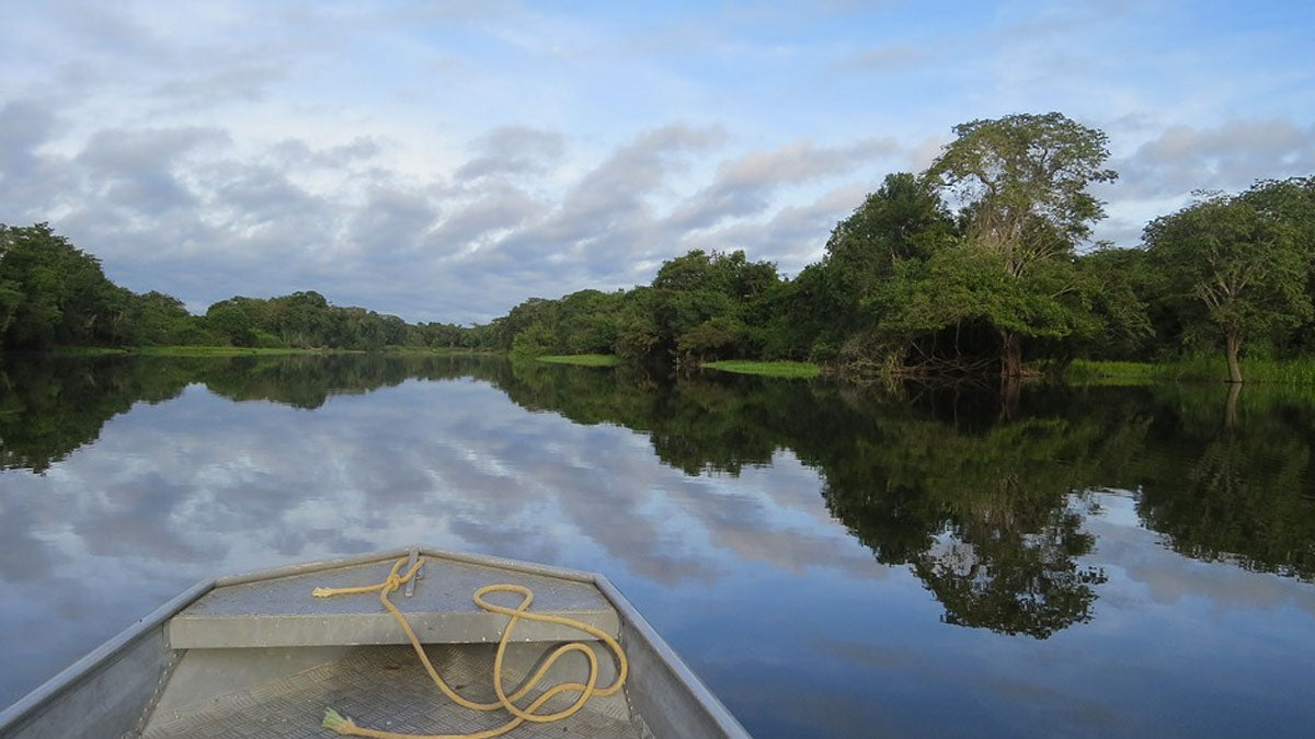 SEIS CURIOSIDADES DESCONOCIDAS SOBRE EL AMAZONAS