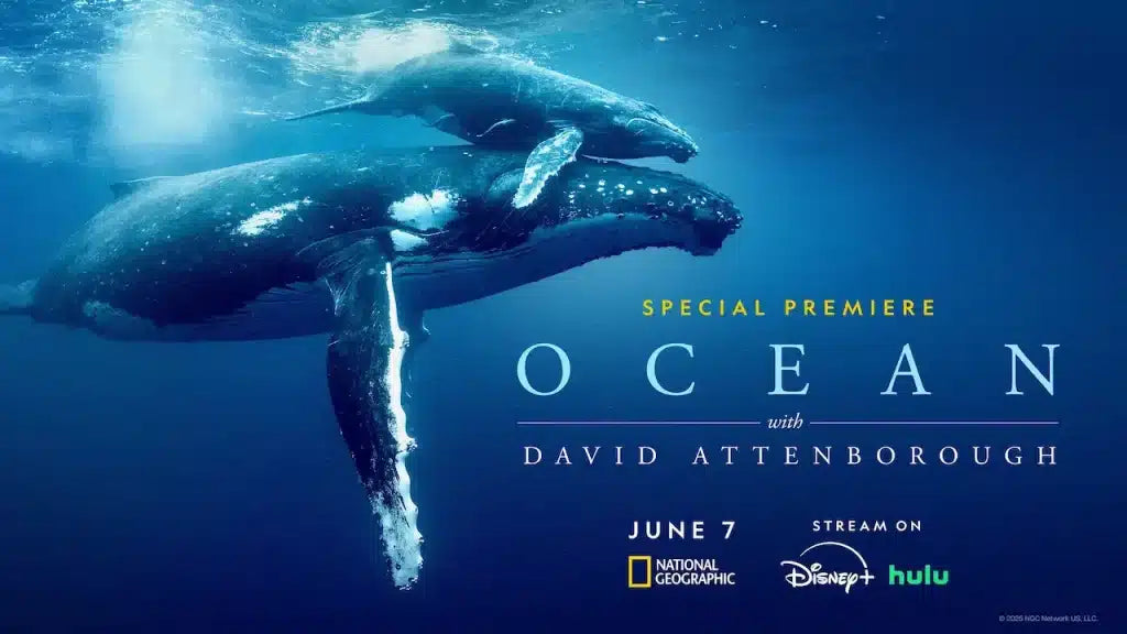 EL DOCUMENTAL DE NATIONAL GEOGRAPHIC OCÉANOS CON DAVID ATTENBOROUGH ESTRENA EL 8 DE JUNIO EN DISNEY+ EN EL DÍA MUNDIAL DE LOS OCEÁNOS