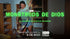 f_article.image.alt